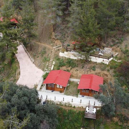 Bosco Paradiso Лимасол Екстериор снимка