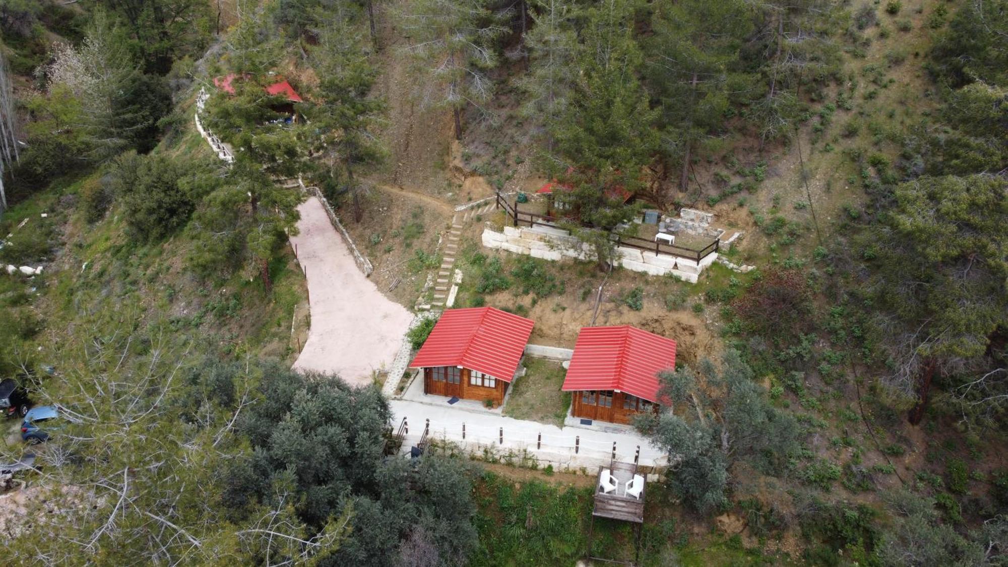Bosco Paradiso Лимасол Екстериор снимка
